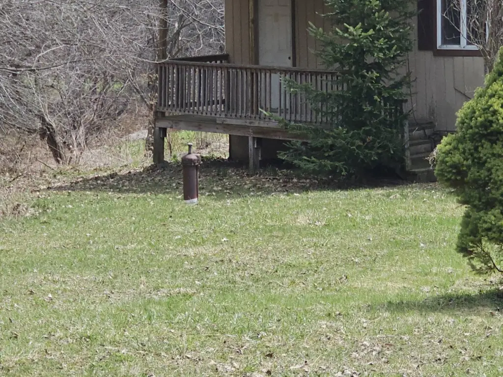 Picture 38