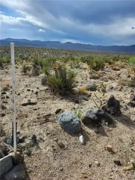 Land in Dolan Springs, Arizona