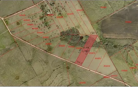 Unimproved Land in Hubbard, TX