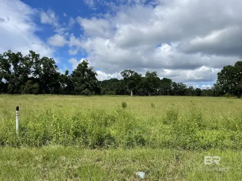 Robertsdale Land For Sale