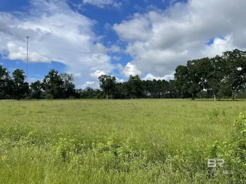 Robertsdale Land For Sale