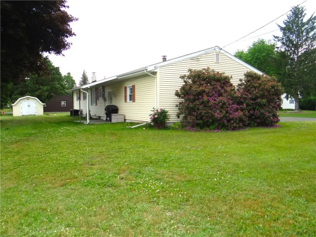 Picture 30