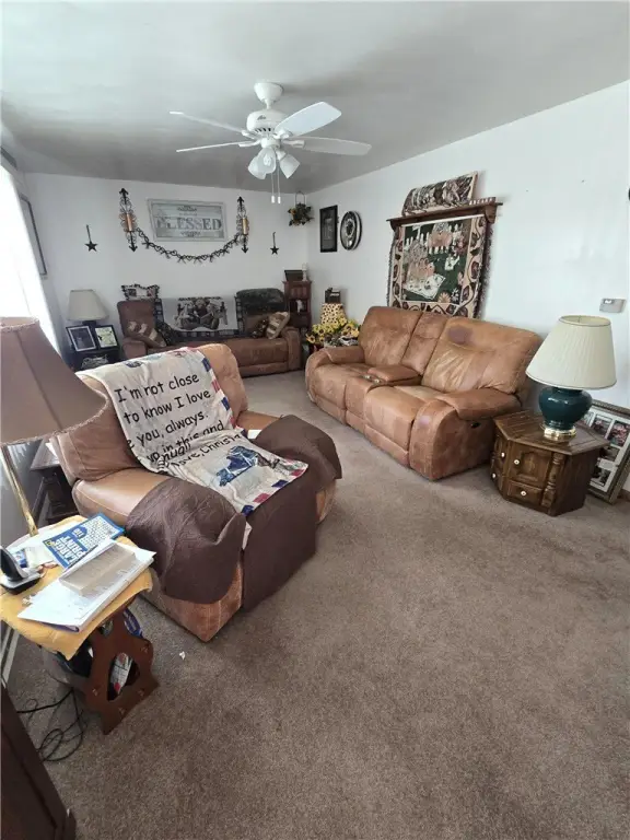 Picture 4
