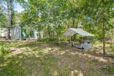 Wooded Land with Utilities