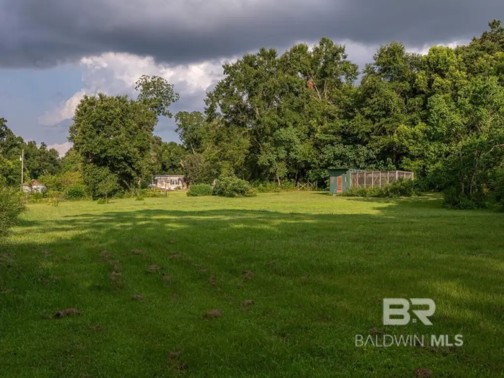 Picture 56