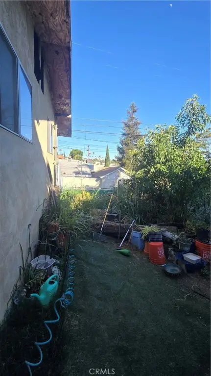 Picture 6