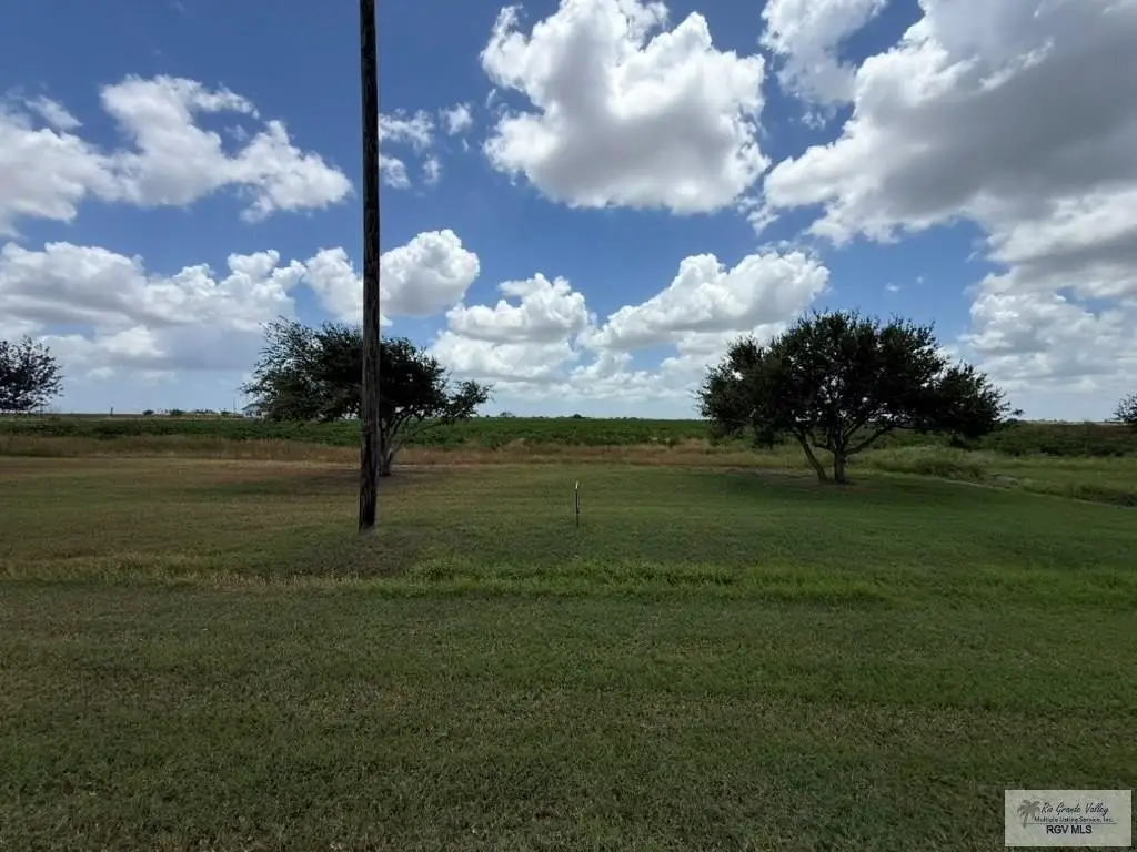 Picture 4
