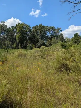 Marshall, TX Acreage For Sale