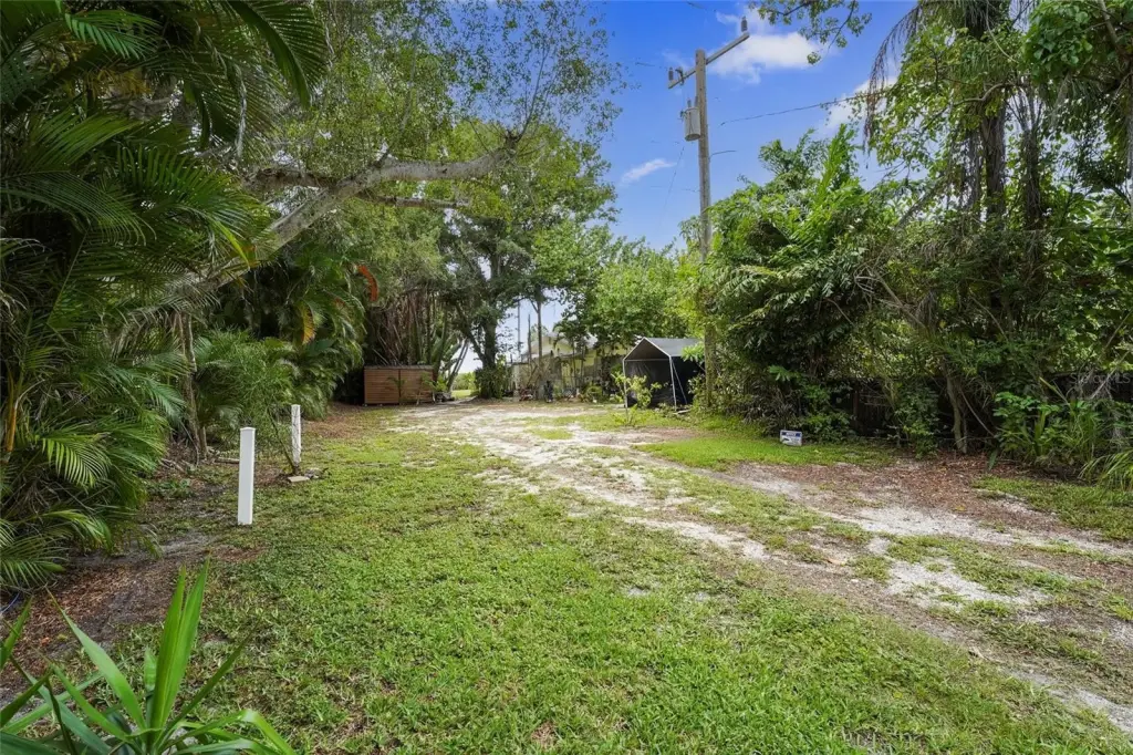 Picture 9
