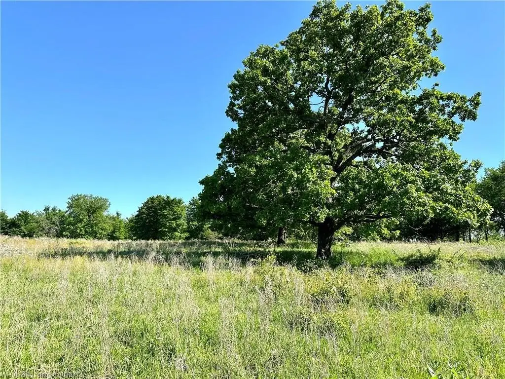 Picture 8