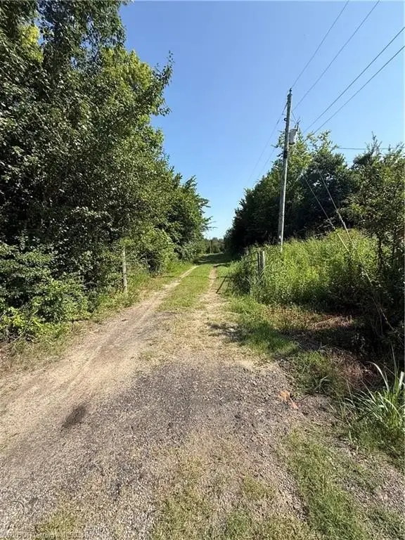 Picture 8