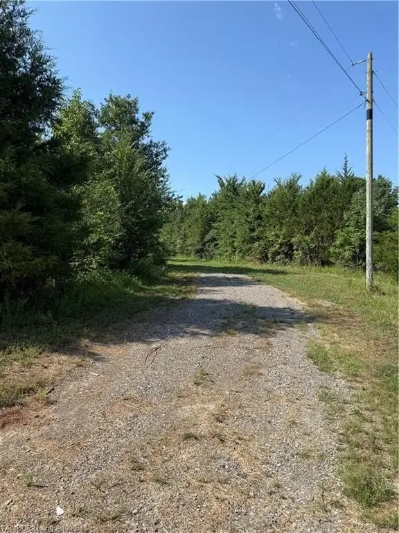 Picture 6