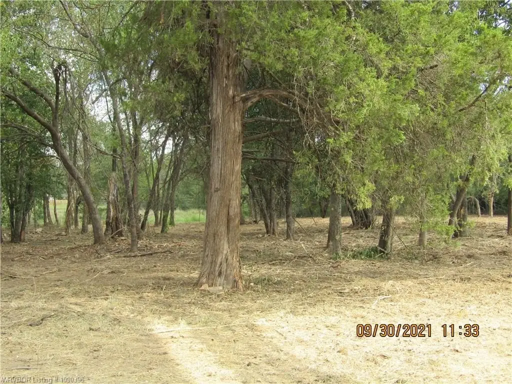 Picture 4