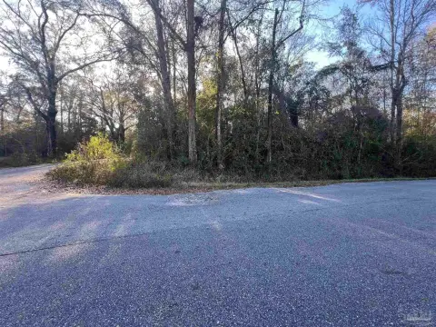 Residential Lots in Molino, FL