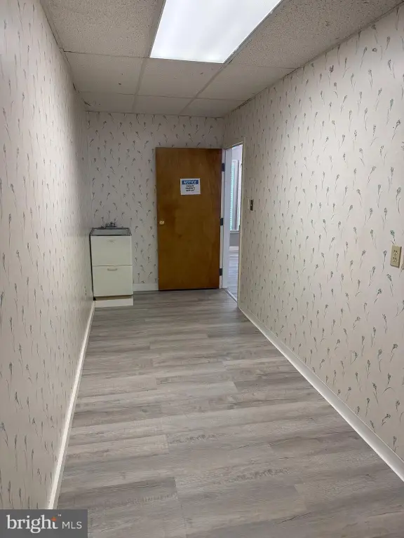 Picture 16