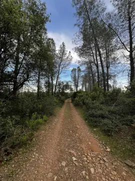 Secluded Land with Mountain Views