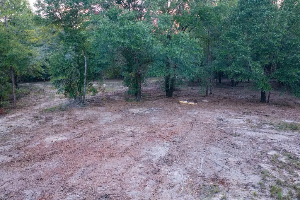 Picture 7