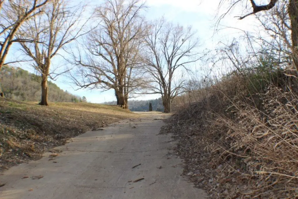 Picture 10