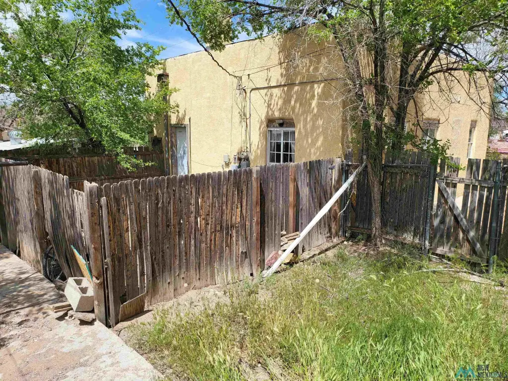 Picture 19