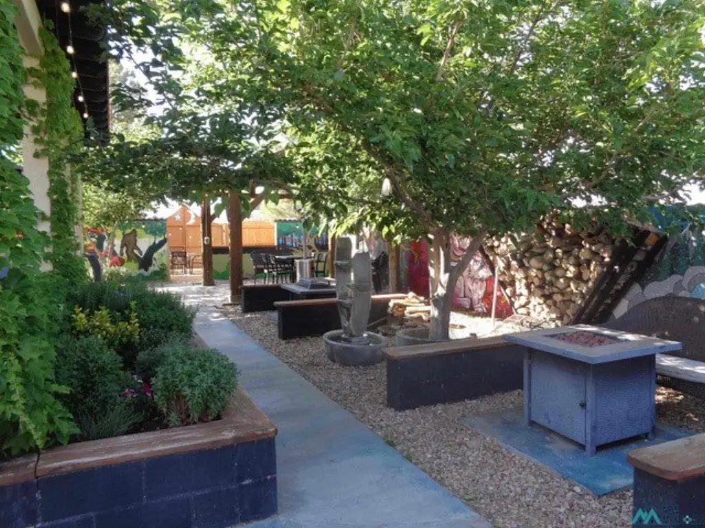 Picture 21