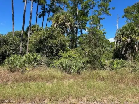 Oversized Lot in Labelle, FL