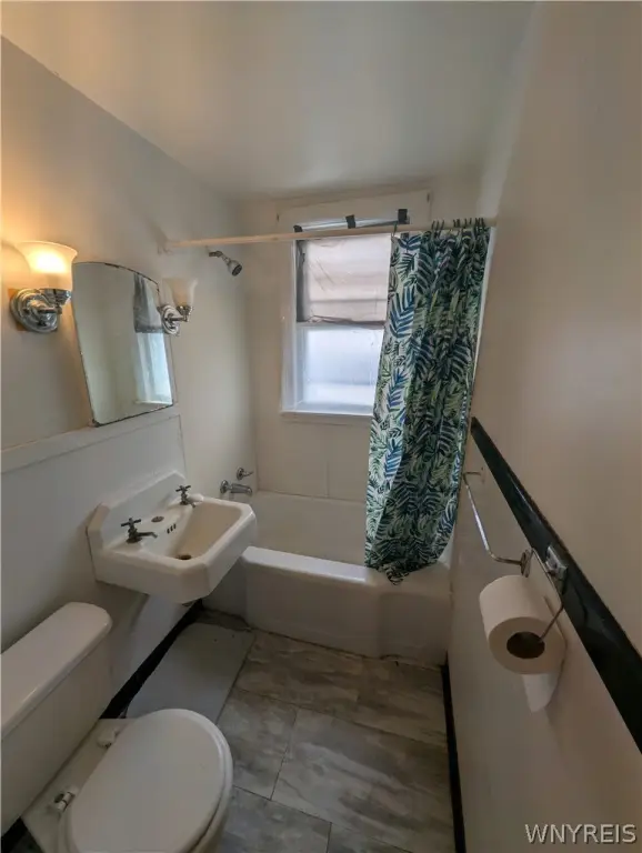 Picture 15