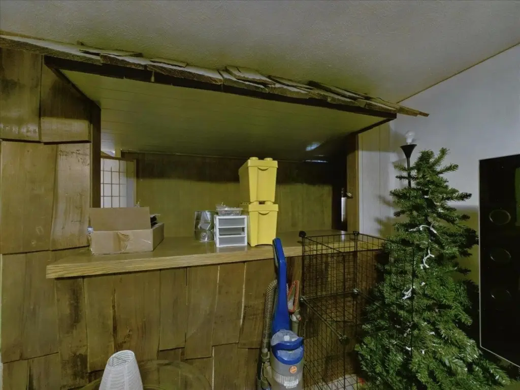 Picture 42