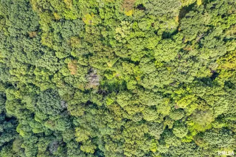 Land For Sale in Chillicothe