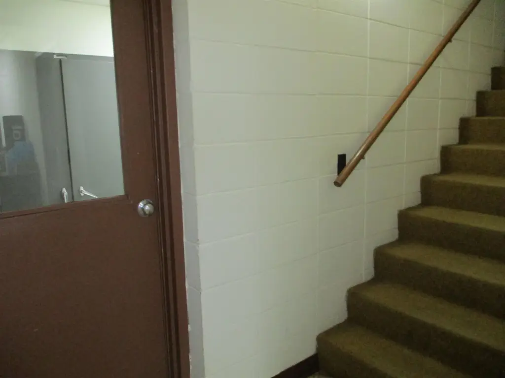 Picture 12