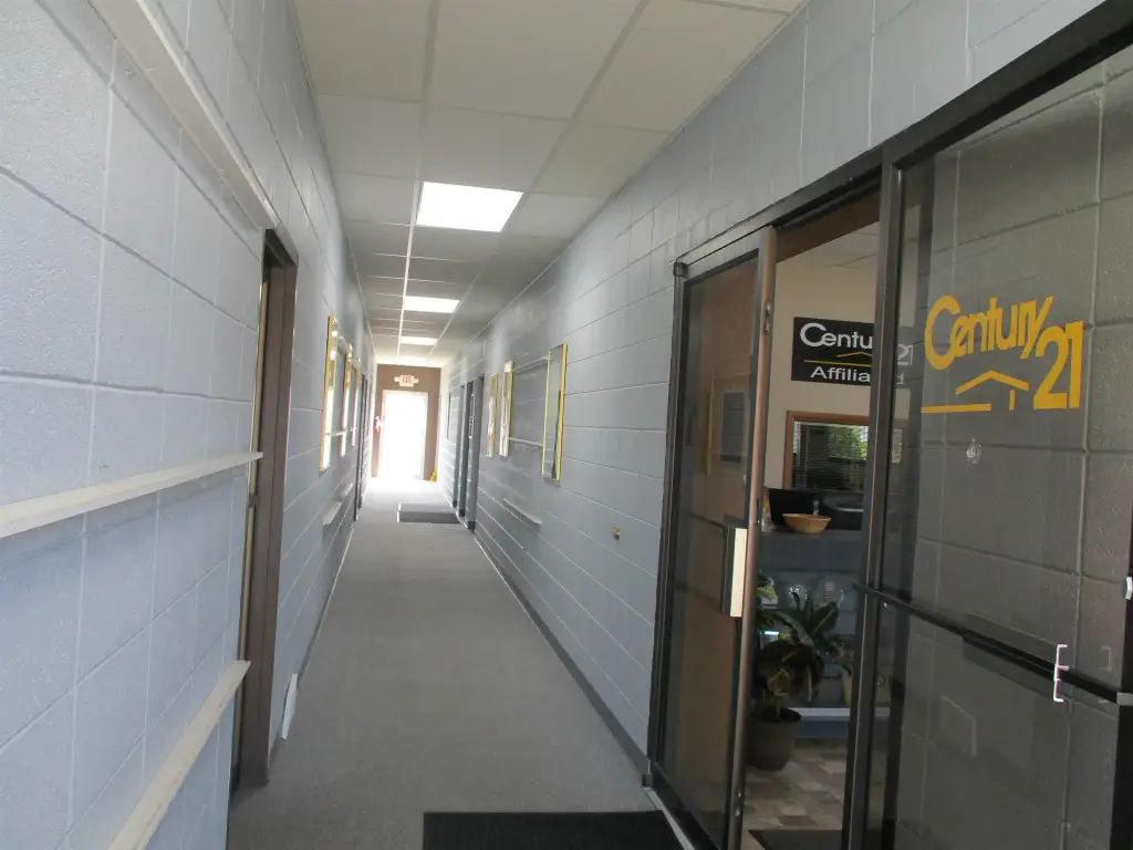 Picture 4