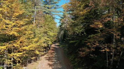 42.77 Acres Wooded Land Parcel