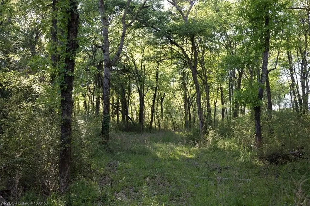 Picture 10