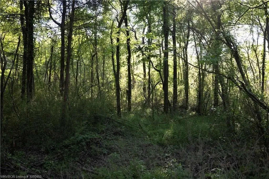 Picture 13