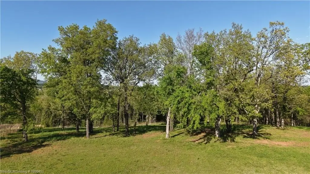 Picture 35