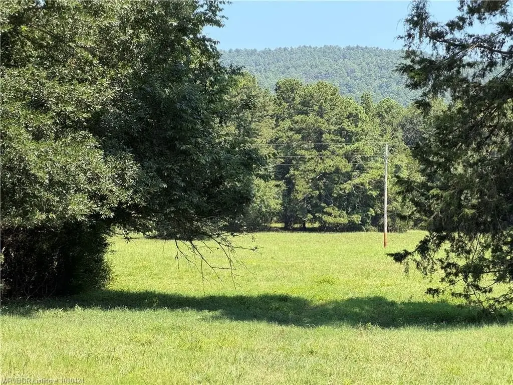 Picture 4