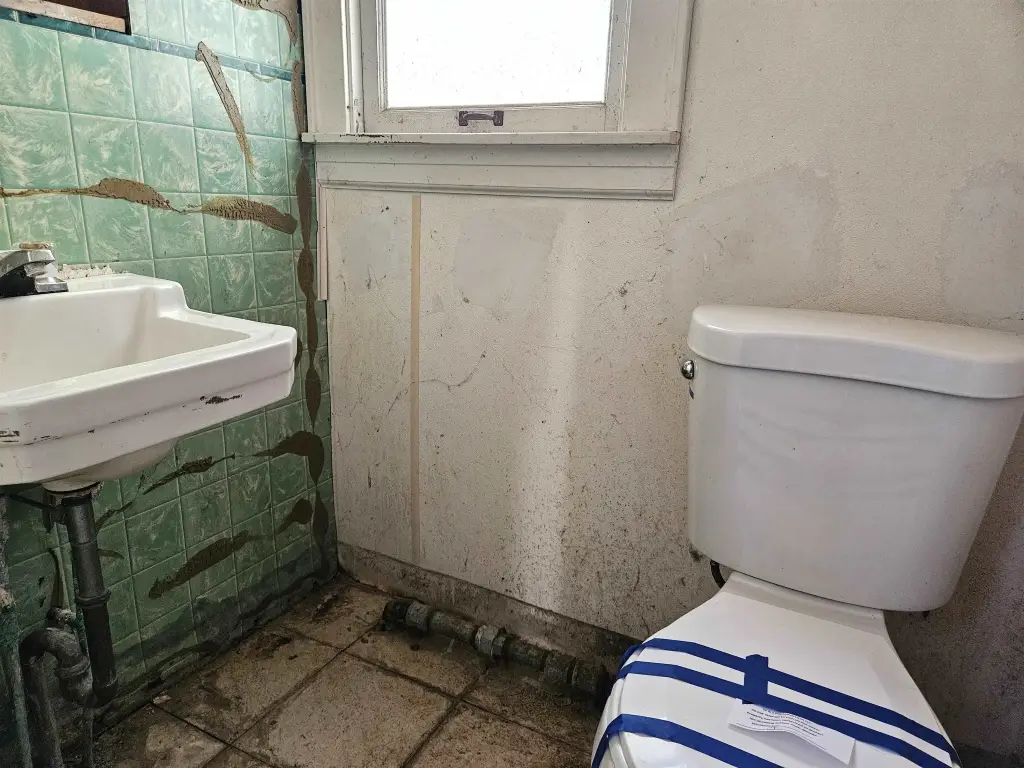 Picture 19