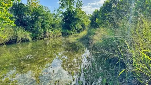 Medina, TX Riverfront Land