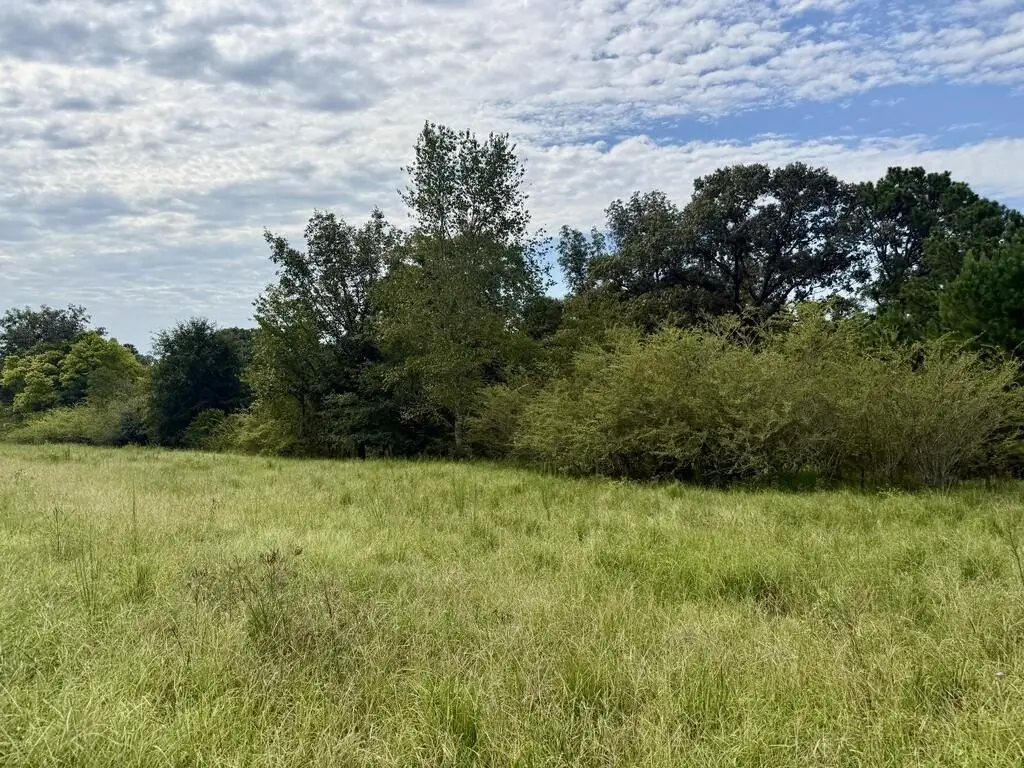 Picture 35