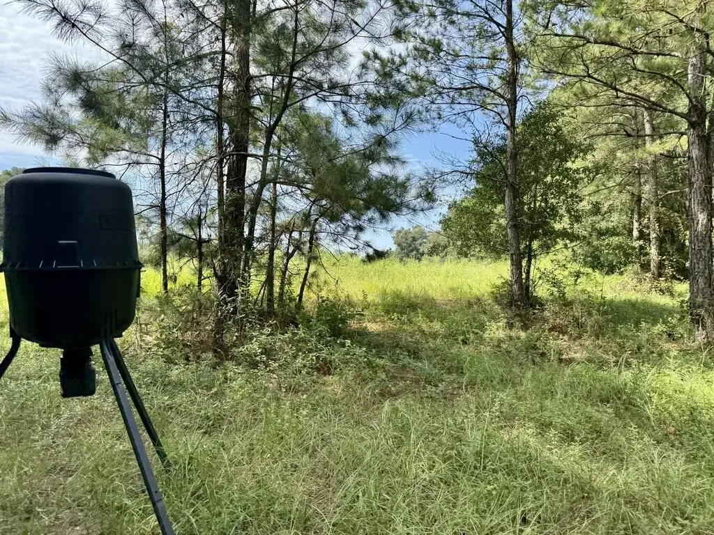 Picture 7