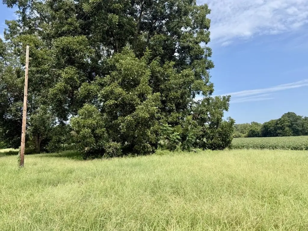 Picture 23