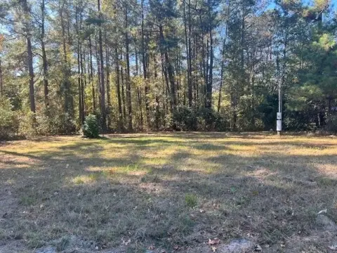 Half-Acre Lot in Williston, SC