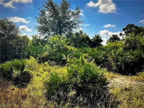 Labelle, FL Acreage for Building