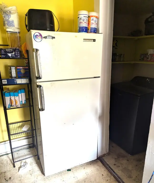 Picture 21