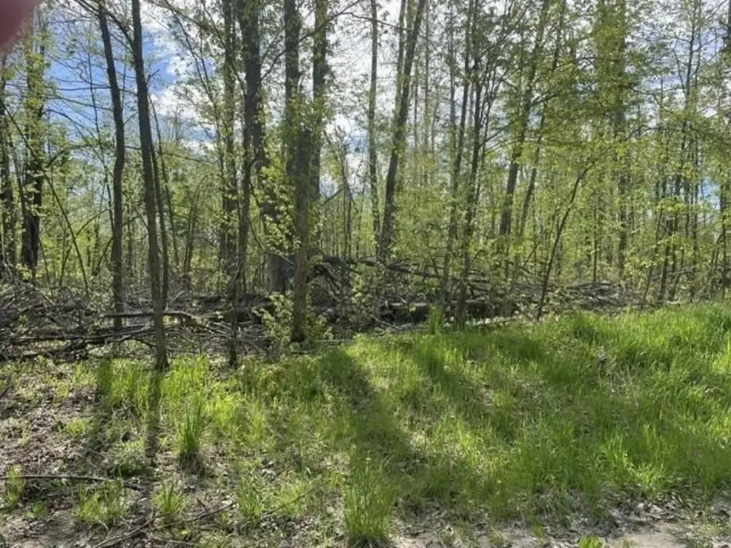 Picture 4