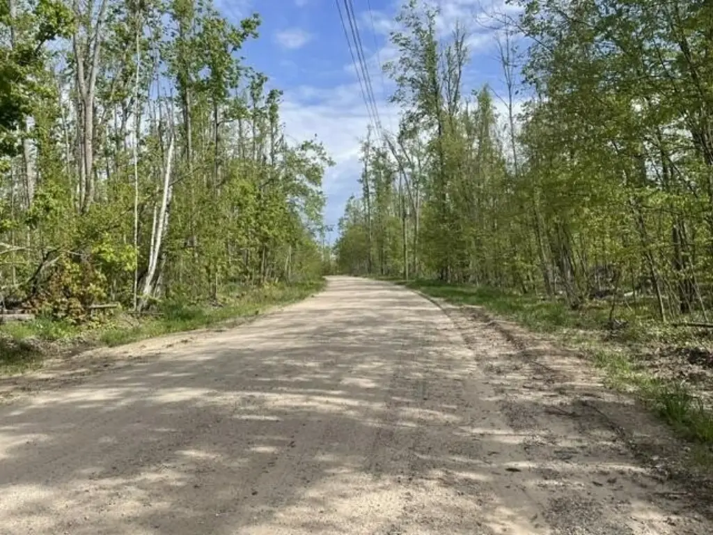 Picture 11