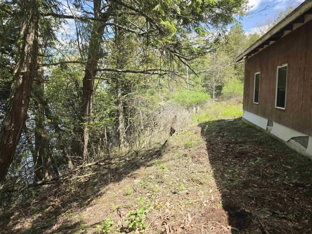 Picture 23
