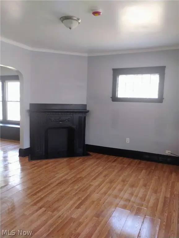 Picture 16