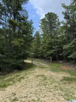 50-Acre Hunting and Building Land