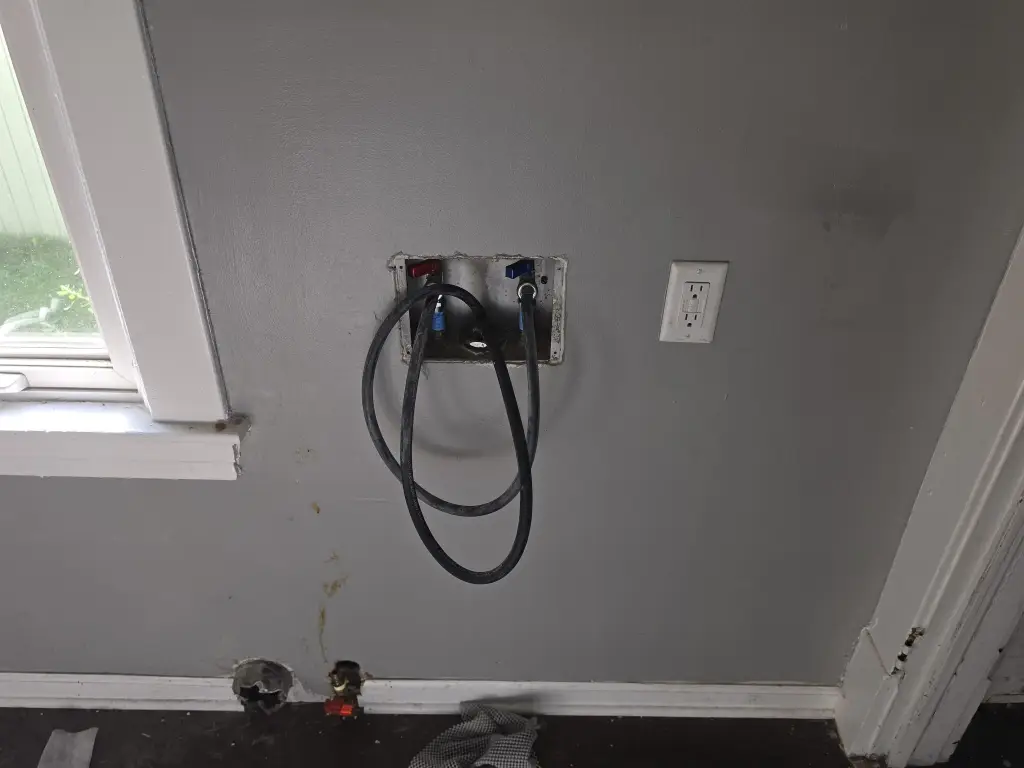 Picture 19