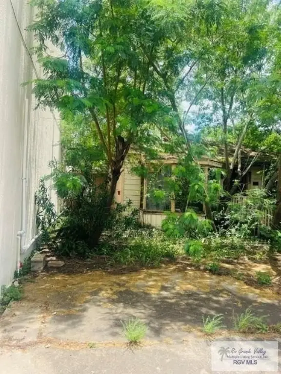 Picture 3